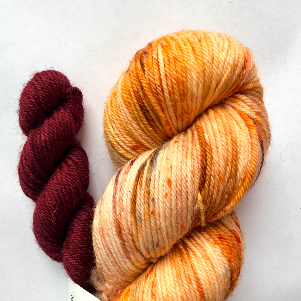 CamijoKnit Superwash Merino Wool Nylon DK Yarn, Cinnamon & Orange with a Cherry on Top