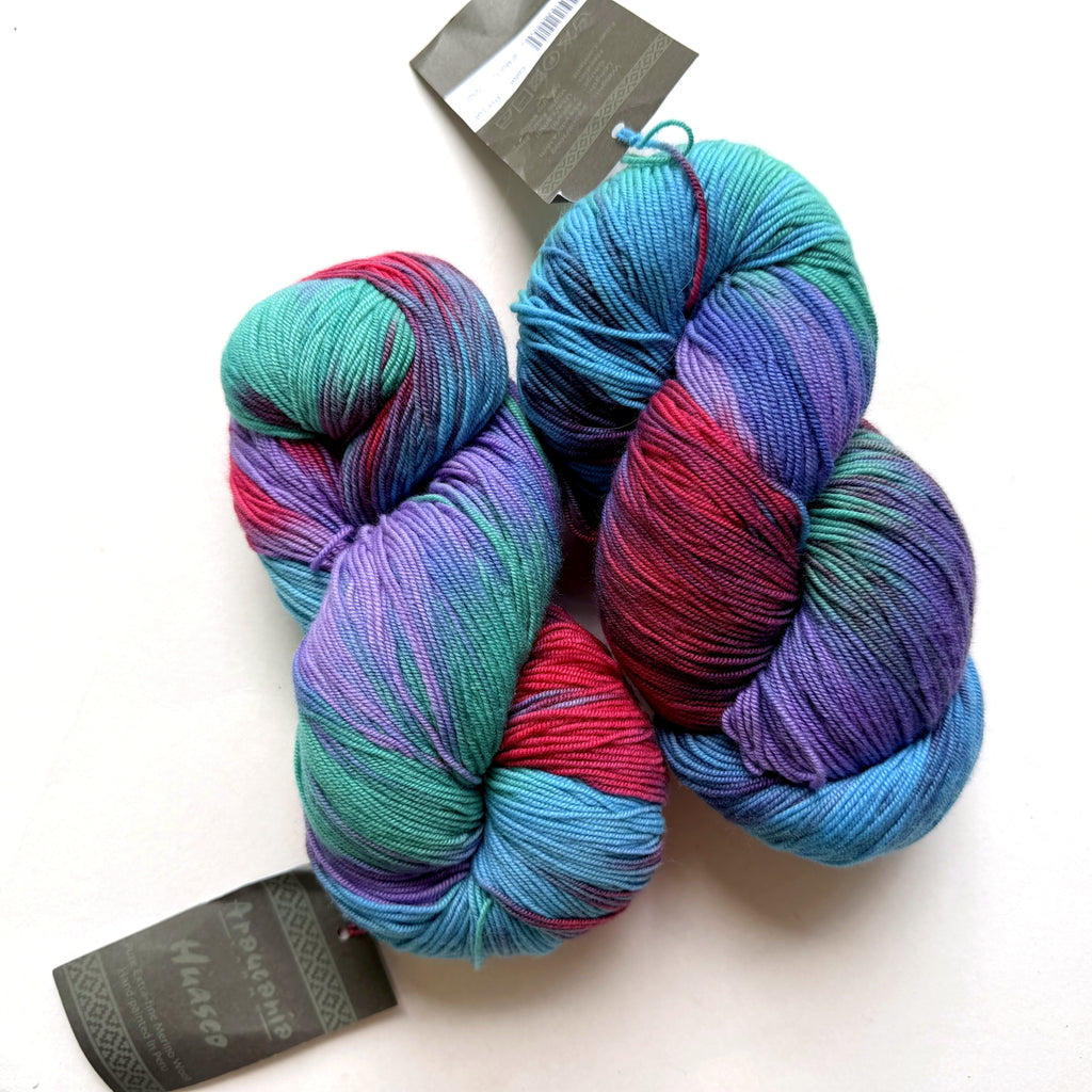 Araucania Huasco Sock Wool Fingering Yarn
