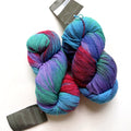 Araucania Huasco Sock Wool Fingering Yarn