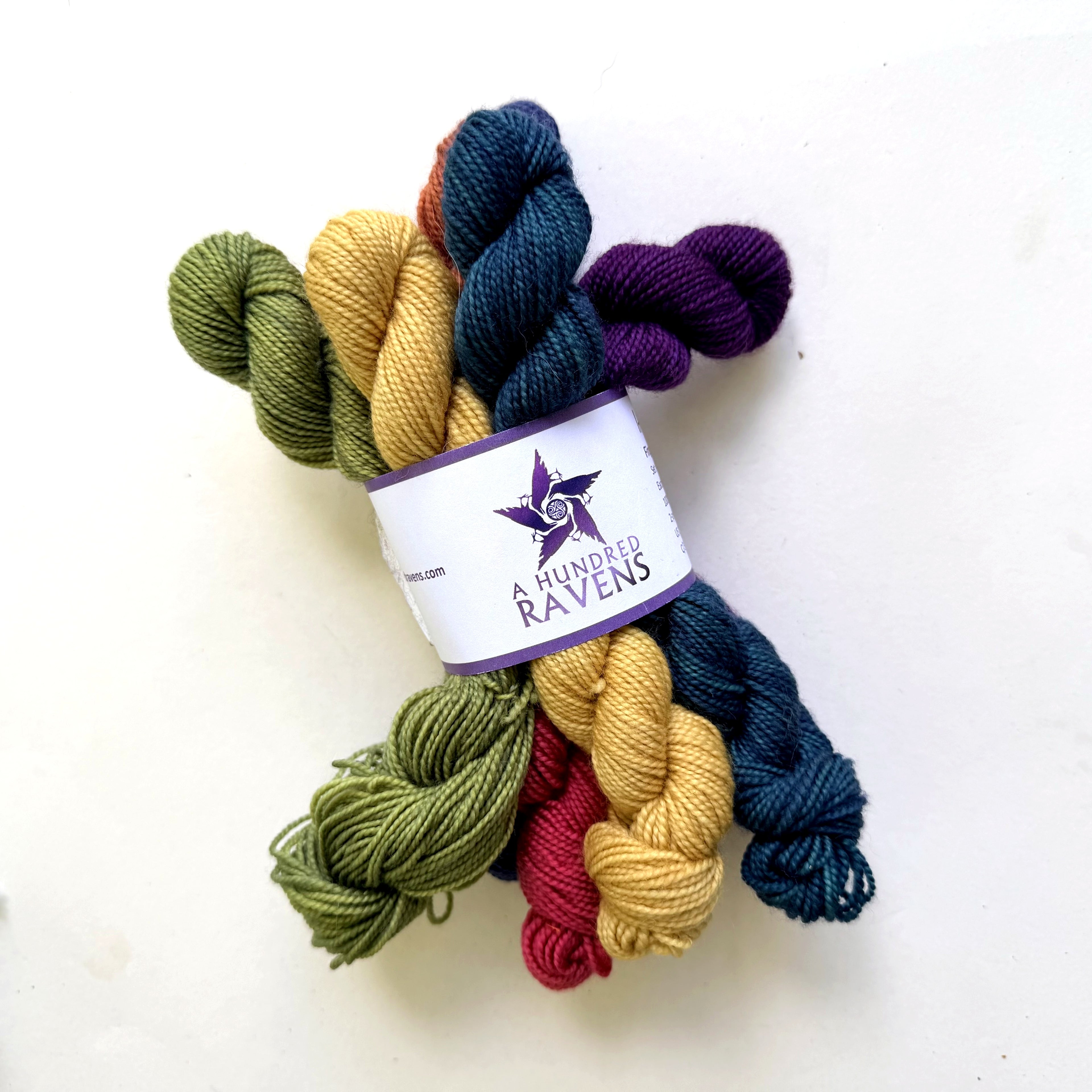 A Hundred Ravens Superwash Merino Fingering Yarn, Dark Prism