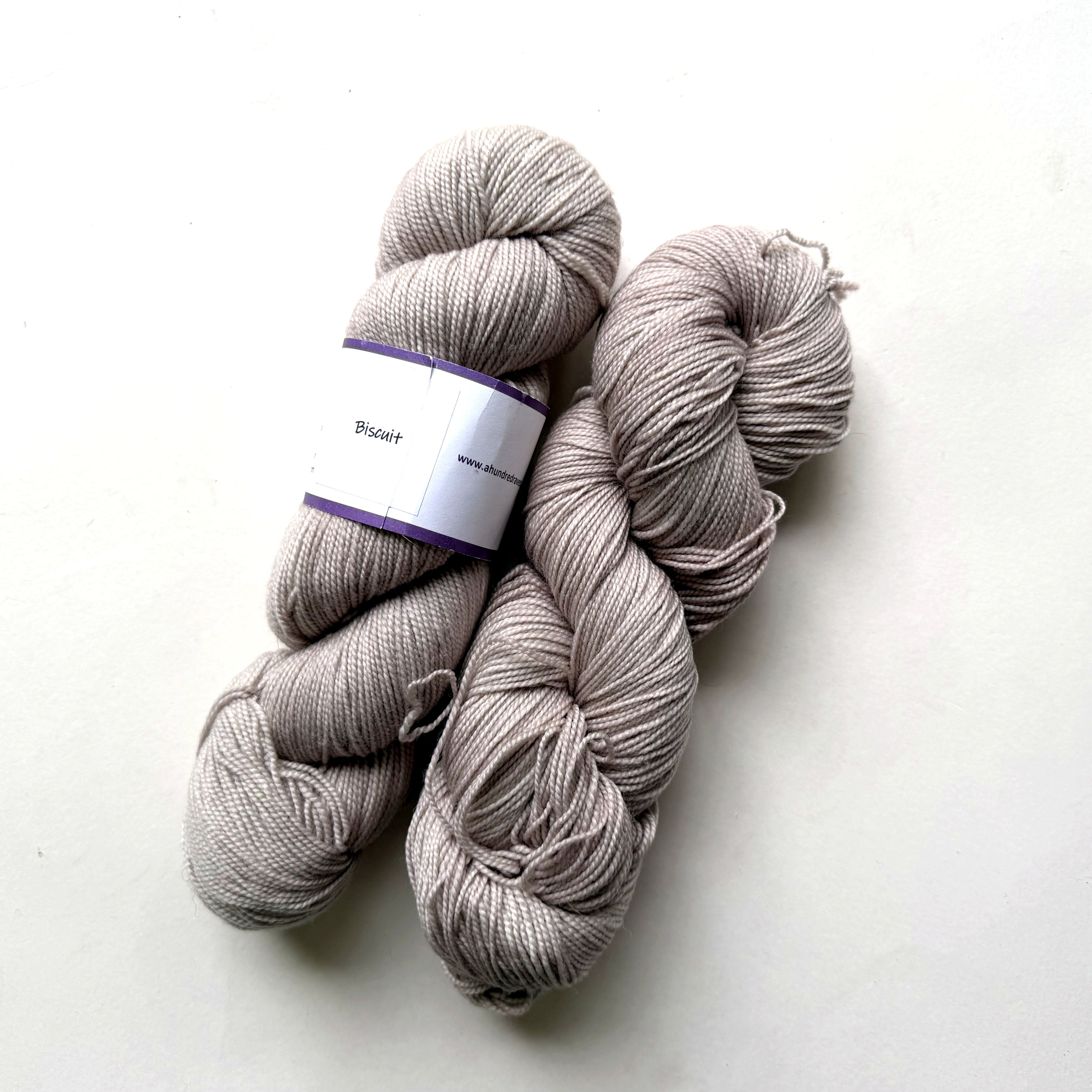 A Hundred Ravens Superwash Merino Wool Fingering Yarn, Zagros