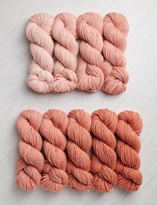 Purl Soho Note — Penny — Nine-Note Bundle (DK, 100yd)